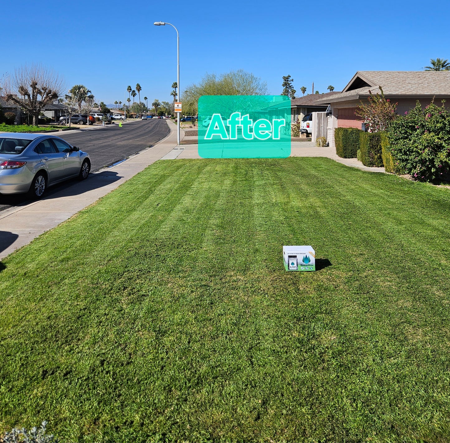 Lawn Bomb - Lawn Fertilizer