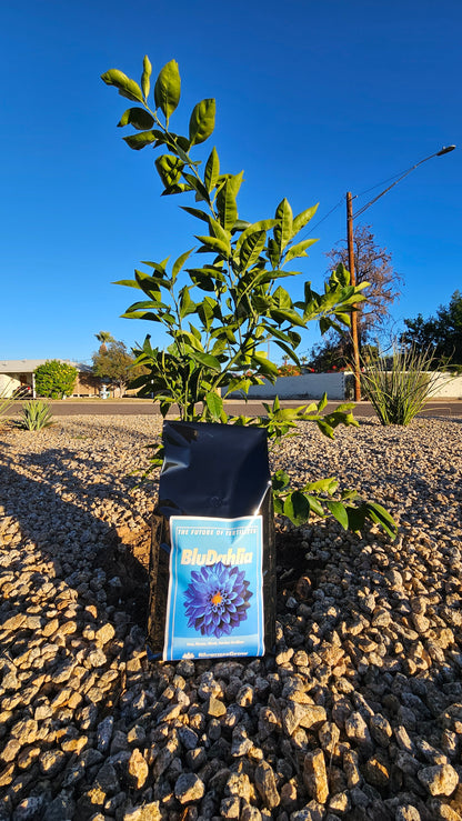 blue plant fertilizer NEW!) BluDahlia Plant Fertilizer – BlugrassGrow