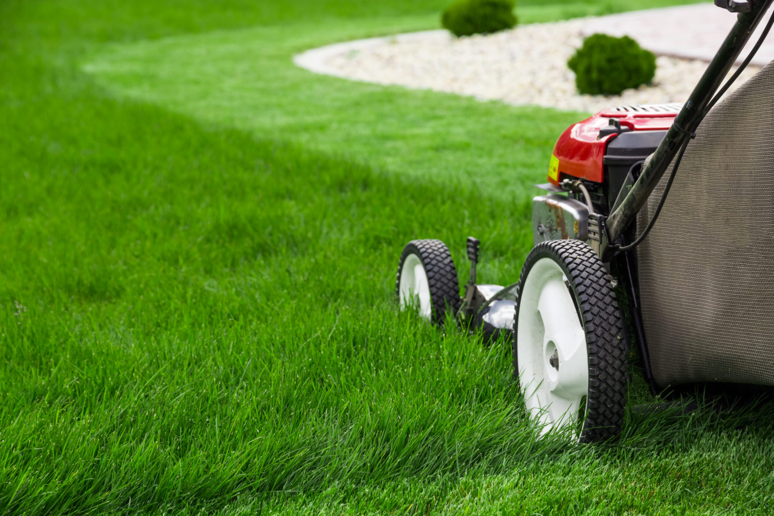 Load video: Video covering the benefits of each step in the blugrassgrow lawn fertilizer kit