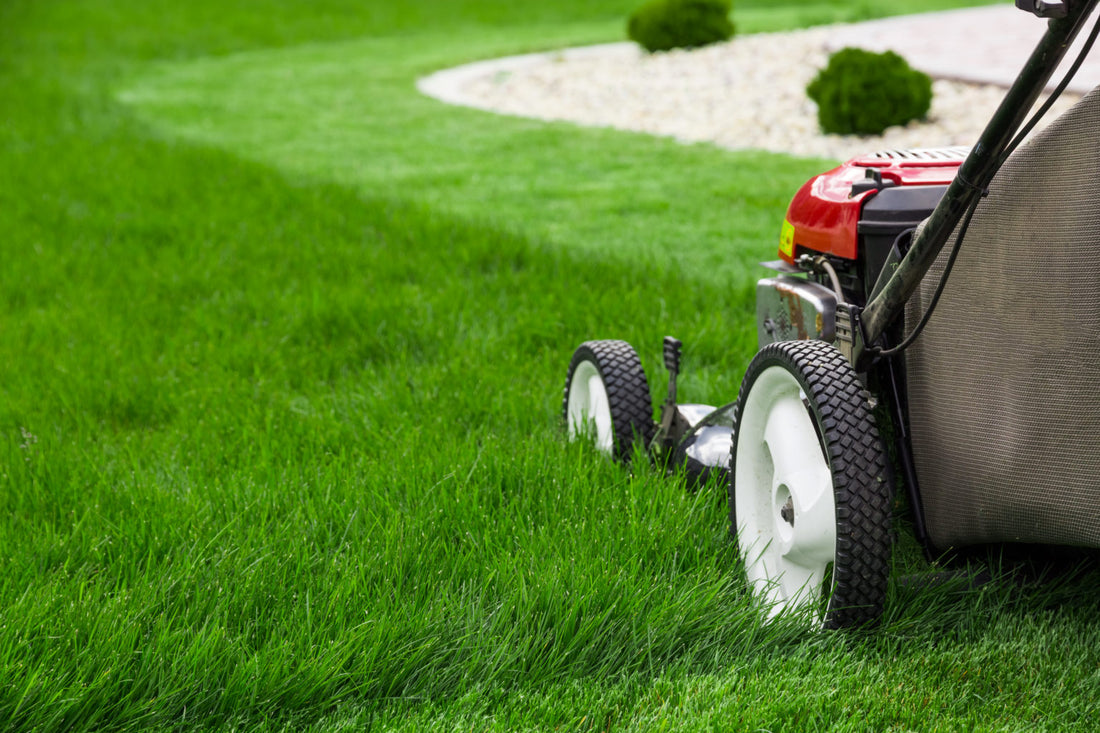 Video covering the benefits of each step in the blugrassgrow lawn fertilizer kit